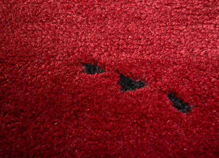 shudd red and orange wool and viscose hand tufted Rug - CloseUp