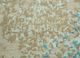 project error by kavi ivory wool and bamboo silk hand knotted Rug - CloseUp