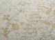 manifest beige and brown wool hand knotted Rug - CloseUp