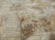 pansy beige and brown wool and silk hand knotted Rug - CloseUp