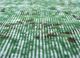 vintage green wool hand knotted Rug - CloseUp
