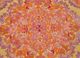 floret red and orange wool and silk hand knotted Rug - CloseUp