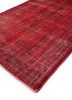 lacuna red and orange wool hand knotted Rug - FloorShot