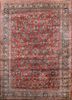 pae-4347 poppy/indigo blue red and orange wool hand knotted Rug