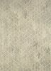 TAHN-01 Natural Gray/Undyed White beige and brown wool hand tufted Rug