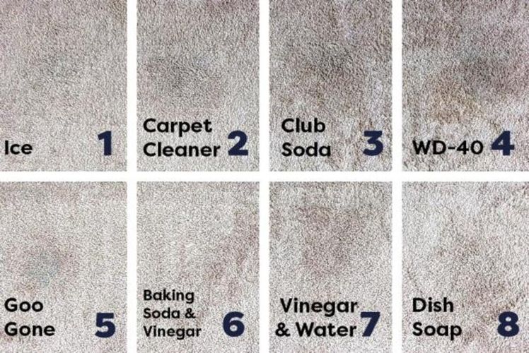 different ways to clean the rug