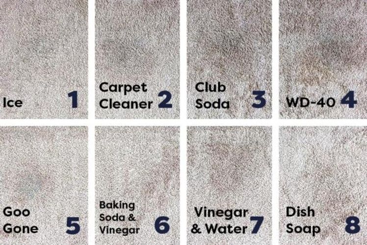 Ideas & Tips On How To Get Smell Out Of Carpet