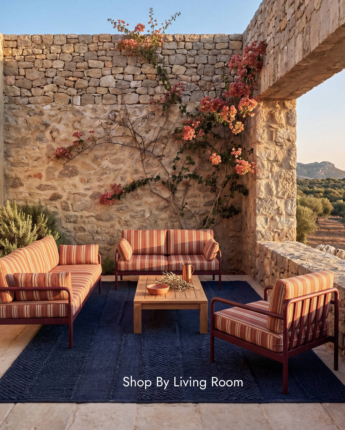 Living Room Rugs