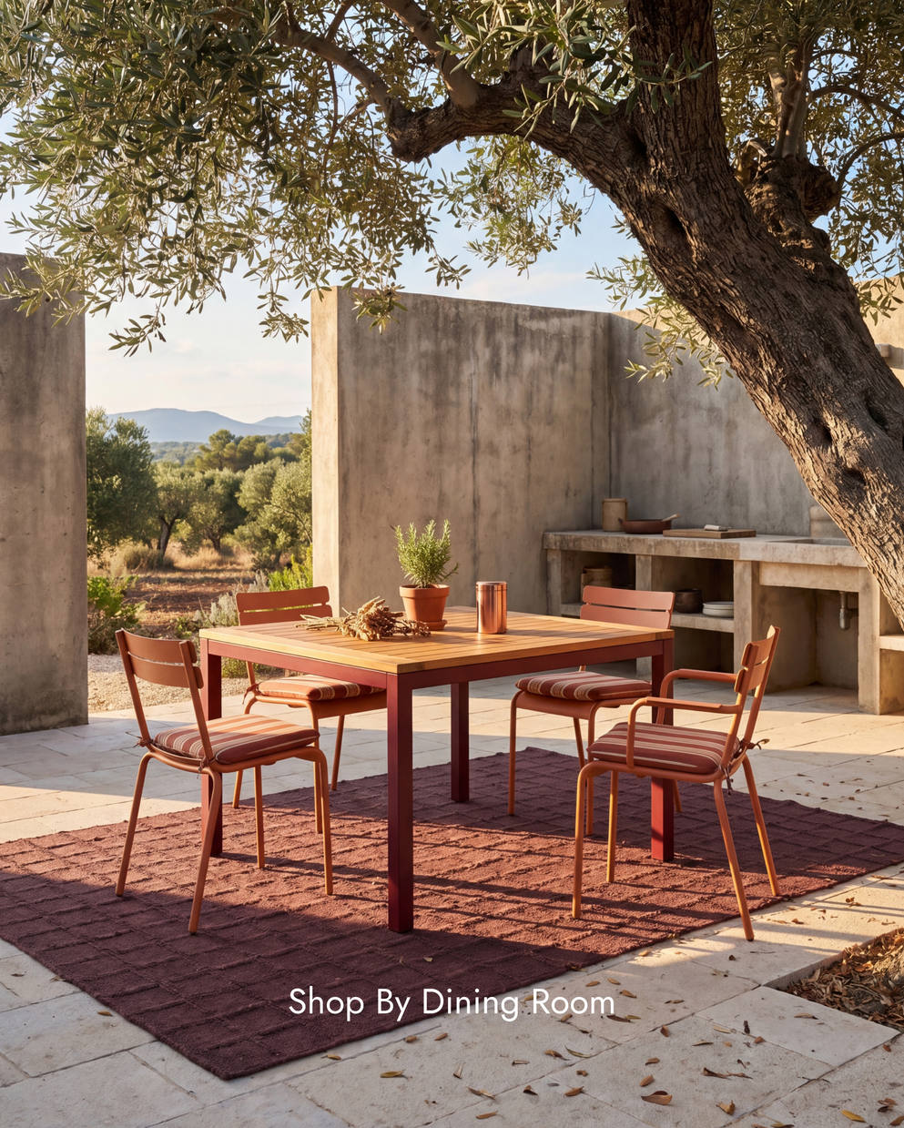 Dining Room Rugs