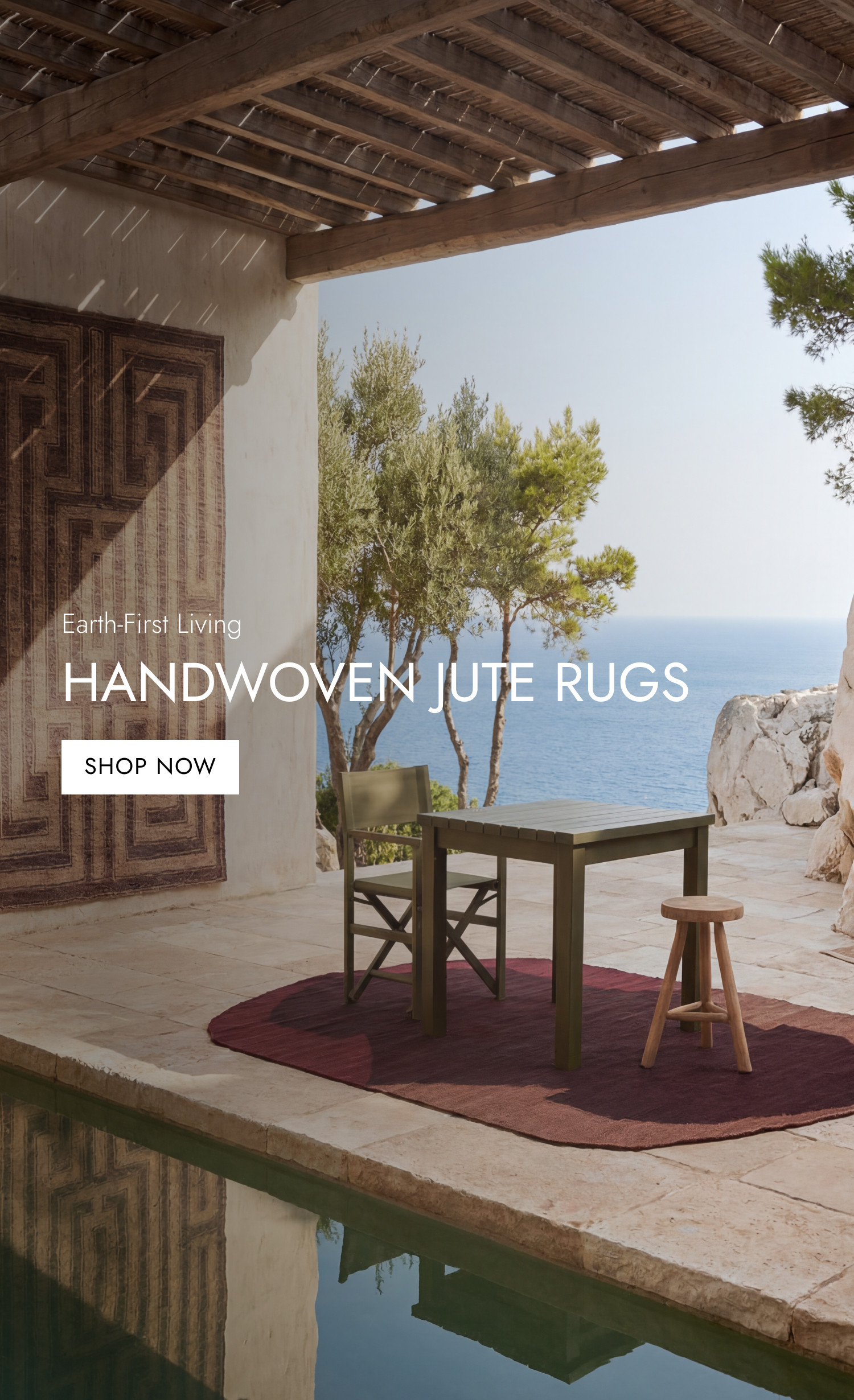 Jute Rugs
