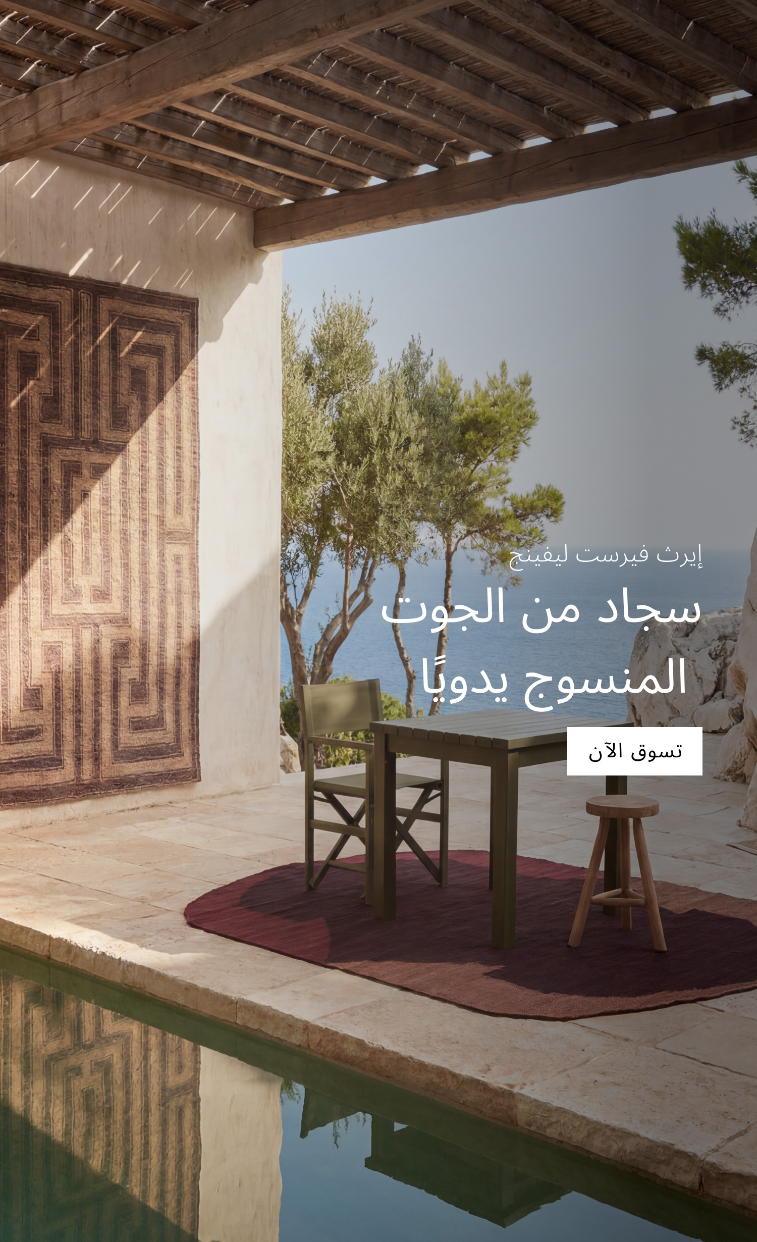 Jute Rugs