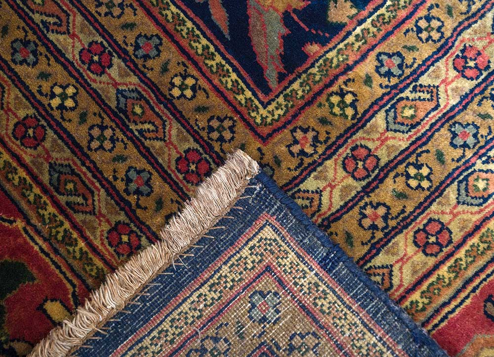 amani blue wool hand knotted Rug - Perspective